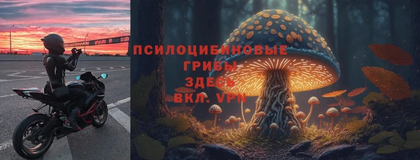 гашик Баксан